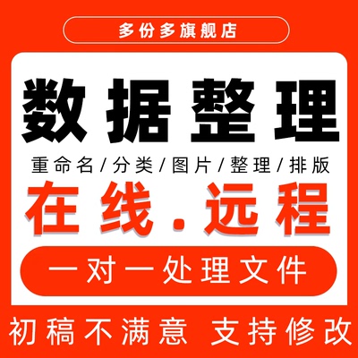 数据整理文件word排版远程在线处理文档图片办公服务工作人工文本
