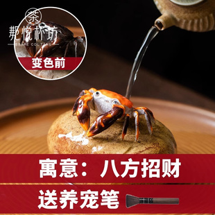 高端陶瓷功夫茶具招财变色茶宠可养摆件螃蟹茶玩禅意茶道茶台宠物