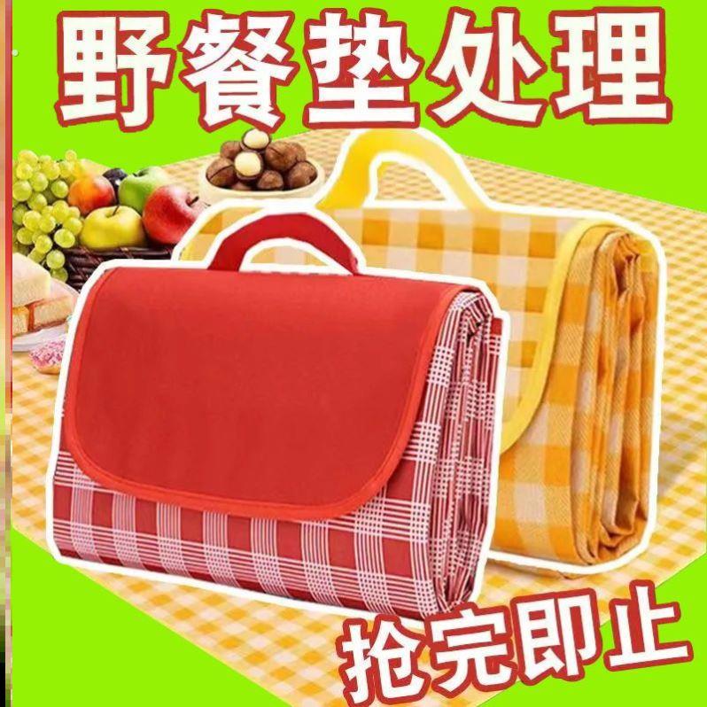 户外野餐垫防潮垫加厚露营防水可携式春游郊游沙滩可折叠野炊布地