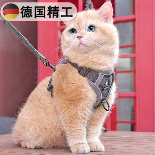【德国精工】猫咪牵引绳防挣脱外出专用溜猫绳宠物背带链子可调节