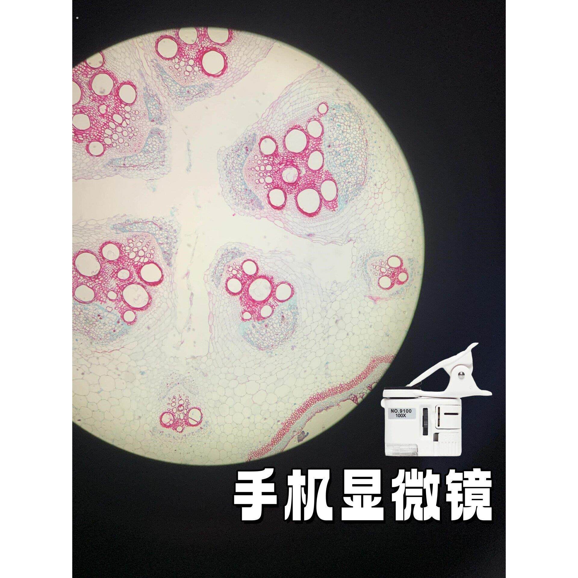 手机显微镜看精子看螨虫专业级中小学生专用精子活力测试迷你镜片