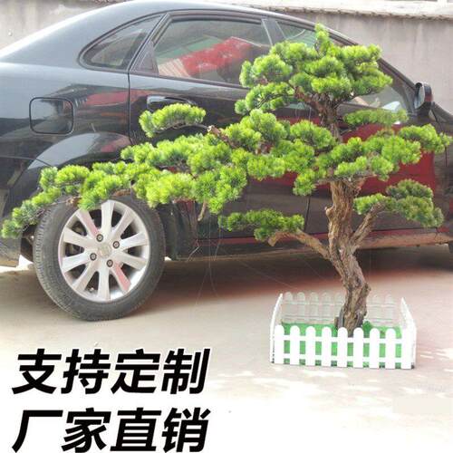 大型假美人松罗汉松落地摆件仿真树绿植仿真造景装饰室内外迎客松