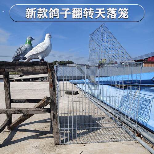 新款自动翻转天落笼加粗加密翻板笼镀锌升级版拼装户外神器鸽子笼
