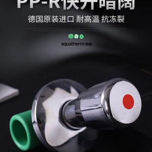 德国原装进口阔盛PPR水管热熔配件暗门总总开关热水