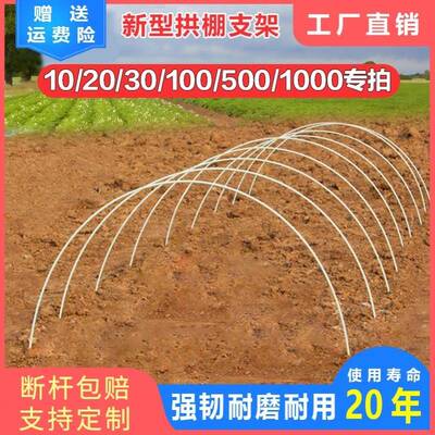 拱棚支架玻璃纤维草莓弓子玻璃钢养殖大棚农用扶苗花棚菜园种地棍
