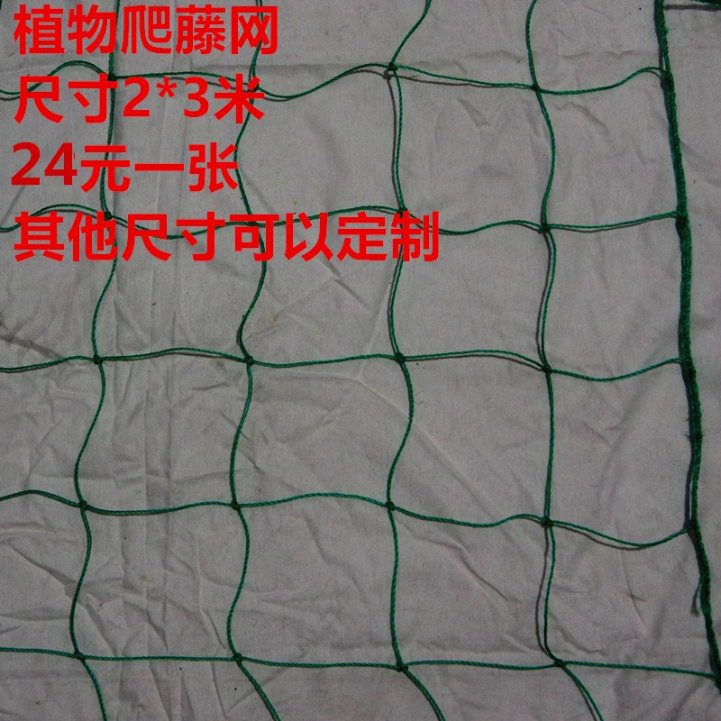 植物爬藤网尼龙网防护网蔬菜瓜果爬藤网细绳围网防护网绳网