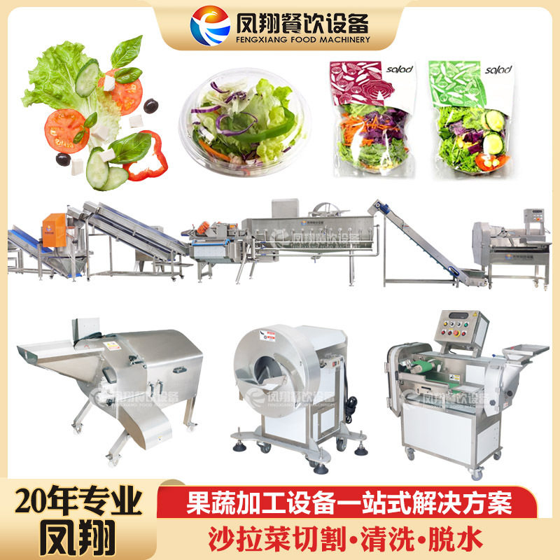 净菜加工沙拉专用清洗流水线中央厨房预制净菜生产线