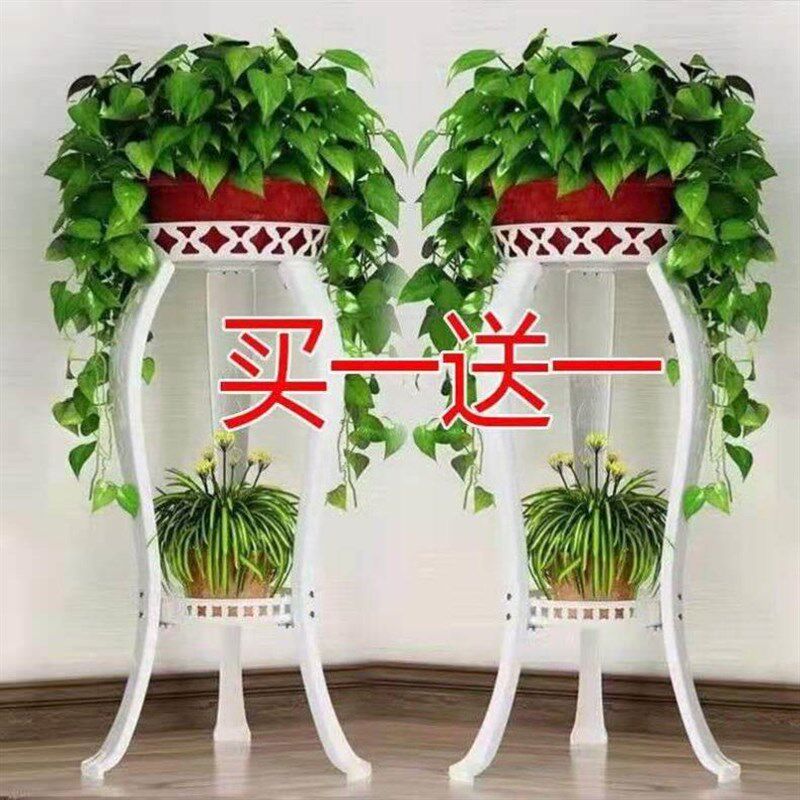 绿箩长藤花架欧式铁艺花盆架室内阳台多层吊兰植物盆栽花