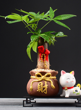 创意发财树盆栽绿植家居饰品客厅电视柜桌面装饰玄关招财