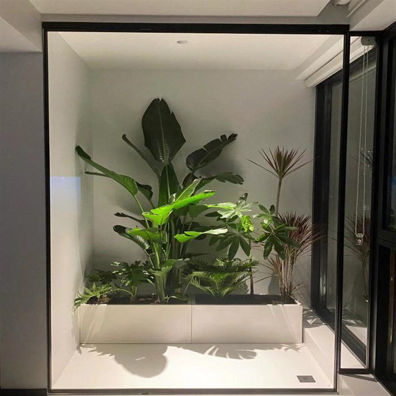 型盆栽室内外绿植屏风组合落地景观真花卉阳台造景植物