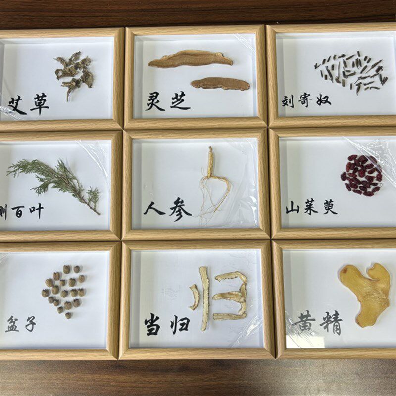单品中药标本手工画示墙校中医相框定常用摆台