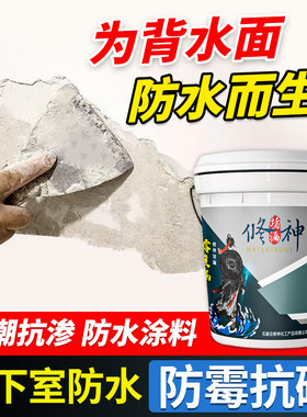 内墙背水面防水涂料防潮防霉墙面防渗水地下室背水压补漏水泥材料