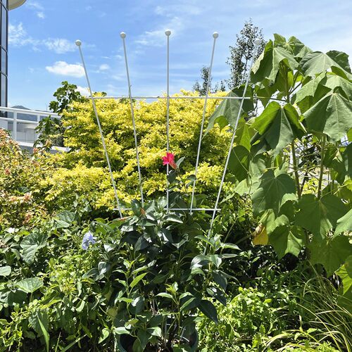 铁艺山乌龟铁线莲球兰月季花架子爬藤架绿萝植物攀爬小支架支撑杆