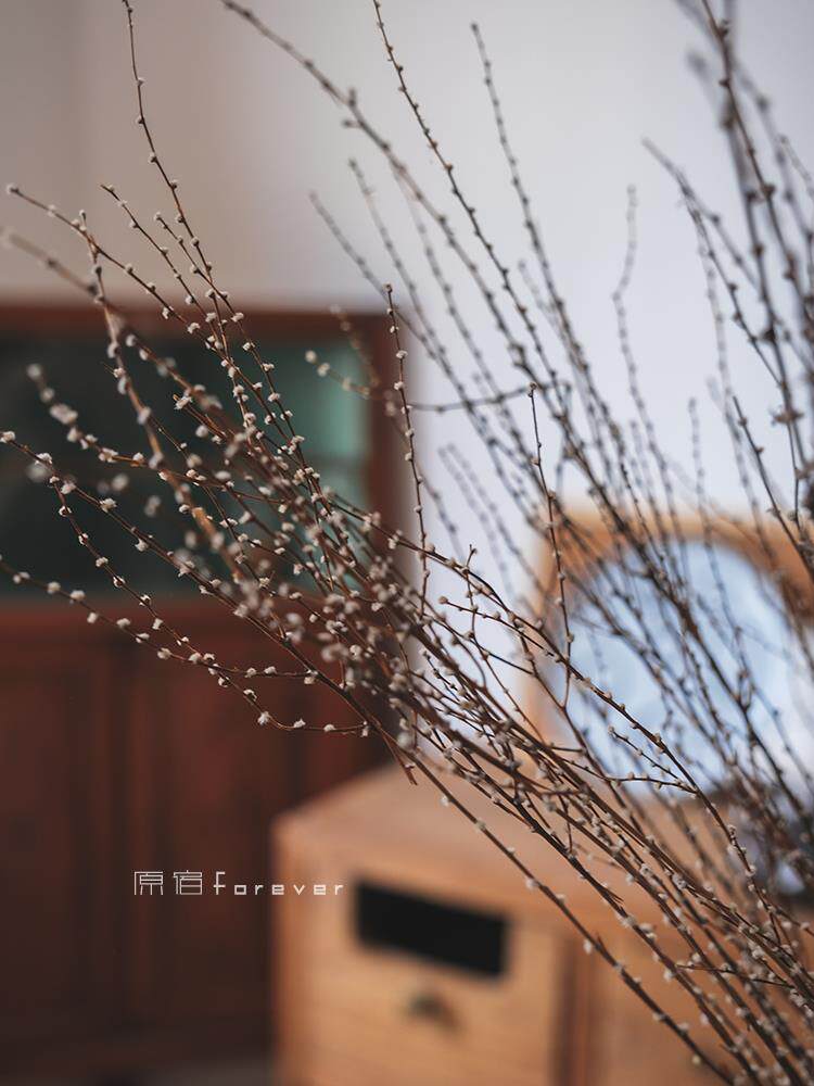 天然干树枝软装民宿覆古森系搭配干枝客厅场景橱窗摆设拍照雪梅花