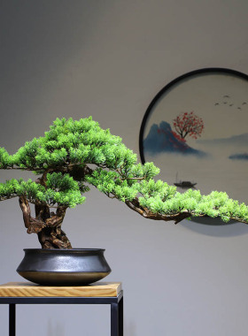 新中式迎客松陶瓷花盆景枯微景观绿植盆栽家居玄关品