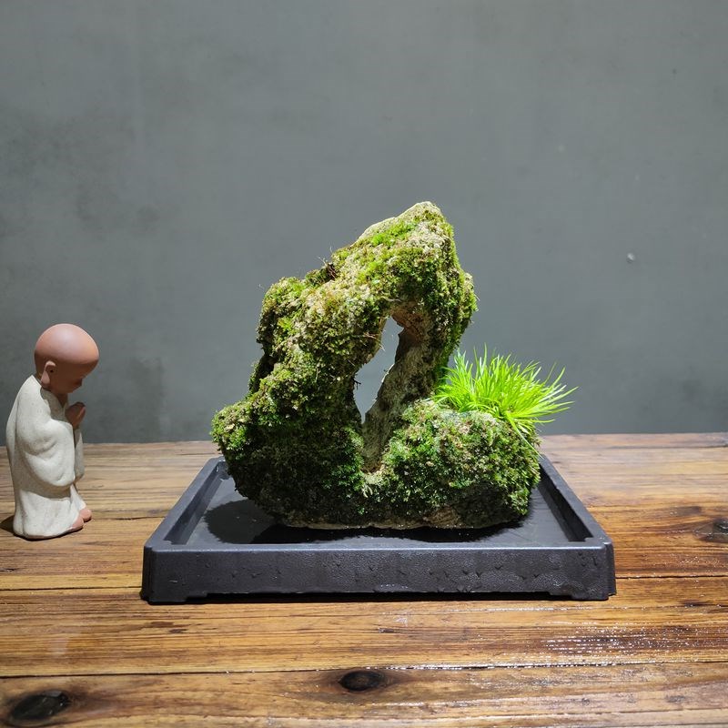 茶桌绿植附石菖蒲吸石假盆景盆栽绿植
