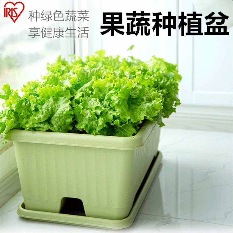 爱丽思阳台种菜盆家庭长方形蔬菜种植号长条盆爱丽丝花盆