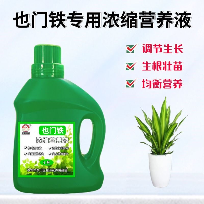 也门铁巴西铁浓缩营养液盆栽绿植物金心青叶金边通用养花肥