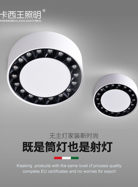 极简客厅无主灯设计圆形斗胆灯格栅灯卧室吸顶式射灯led明装筒灯
