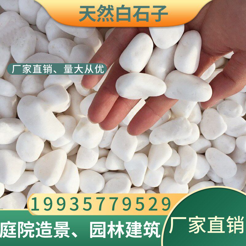 广州天然白石子白玉石鹅卵石雨花石多肉植物铺面盆栽装饰白色石头