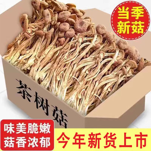 古田新货500g农家茶树菇干货特级新鲜茶薪菇无硫香菇蘑菇金针菇俏