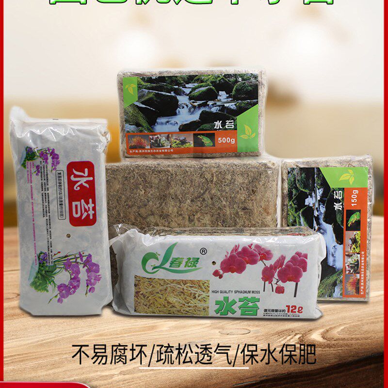 智利水苔兰花专用植料春禄干水苔石斛蝴蝶兰水草育苗乌龟垫材进口