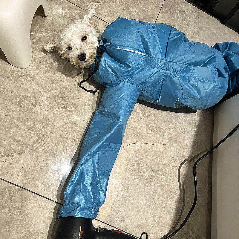 宠物烘干箱袋猫咪狗狗洗澡吹毛速干神器吹风机吹干箱大中小型犬用