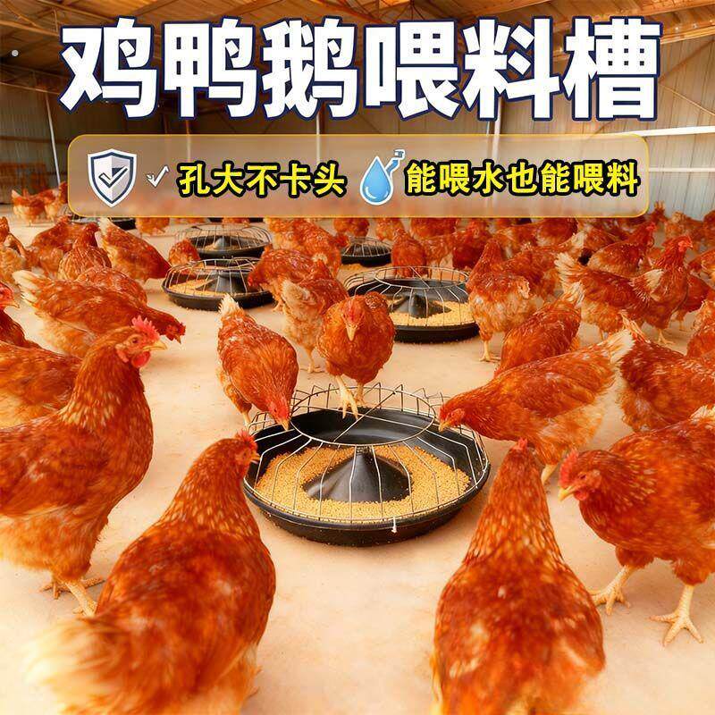 喂鸡食槽新款鸡鸭鹅食槽干湿两用喂鸡食槽大鸡食槽