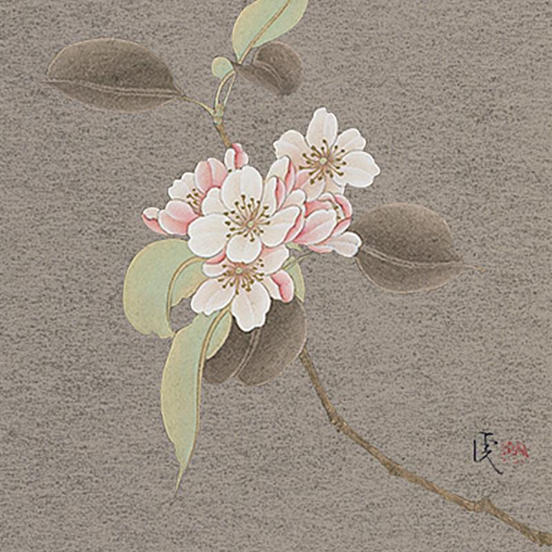 赫勒 - 实物图