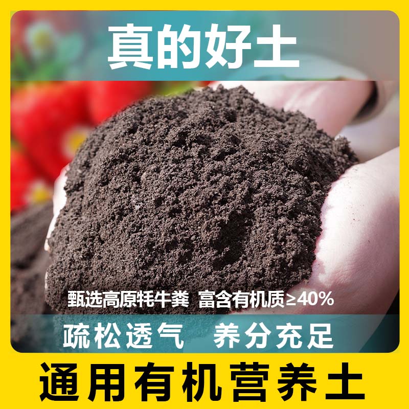营养土通用养花种菜家用盆栽土多肉花卉泥炭土种植专用土壤花土肥