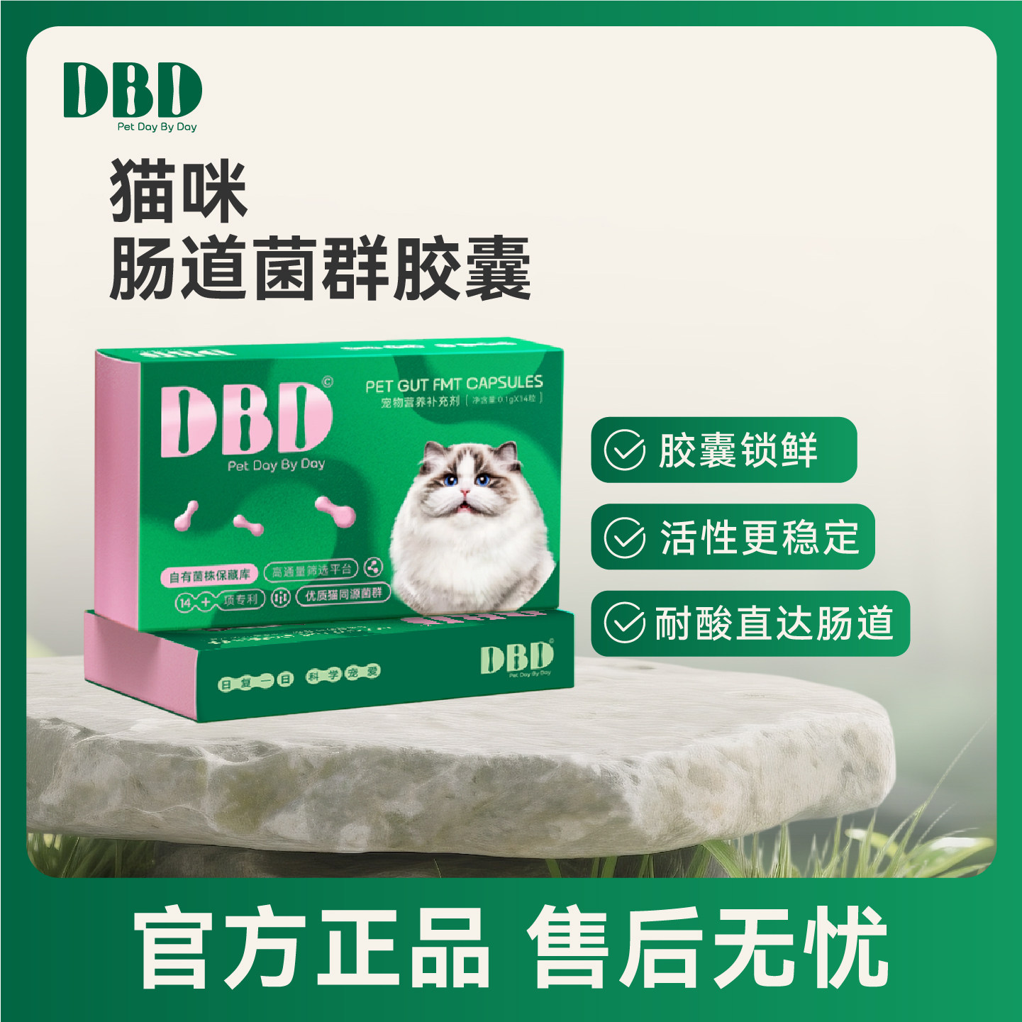 猫源肠道菌群还原健康菌群生态图片
