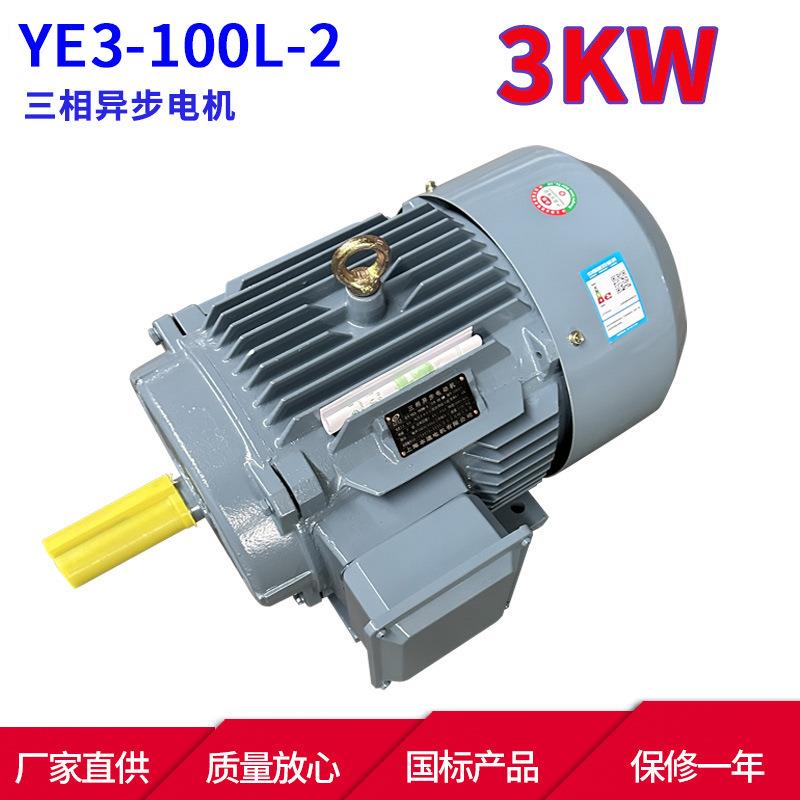 YE3系列马达三相马达异步电动机YE3-100L-23W2极三相异步电机
