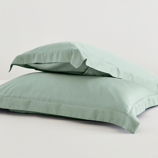 天丝枕套一对装 夏季 纯色冰丝莱赛尔纤维枕L芯套48x74cm枕头套