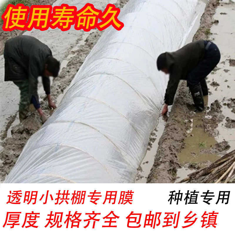 白色塑料薄膜小拱棚膜保温蔬菜大棚膜地膜防水塑料薄膜公路防护膜