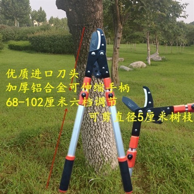 伸缩粗枝剪大力士剪桑树省力剪高枝剪果树剪绿篱剪冬青剪篱笆剪