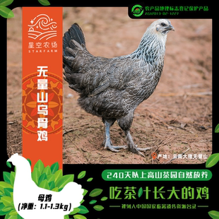 【云南特产】云南正宗无量山乌骨鸡母鸡整鸡鸡肉真空包装发货礼盒