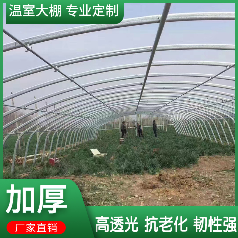 种植大棚骨架钢管温室定制暖棚鸡鸭猪养殖全套钢架蔬菜大棚简易