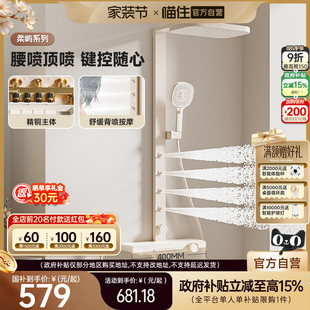 政府补贴浪鲸卫浴淋浴花洒套装 家用腰喷按摩淋浴器卫生间带喷枪59