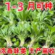 鹿耳韭种子四季 皆宜种植高产地栽阳台小院南北方可种菜籽盆栽小院