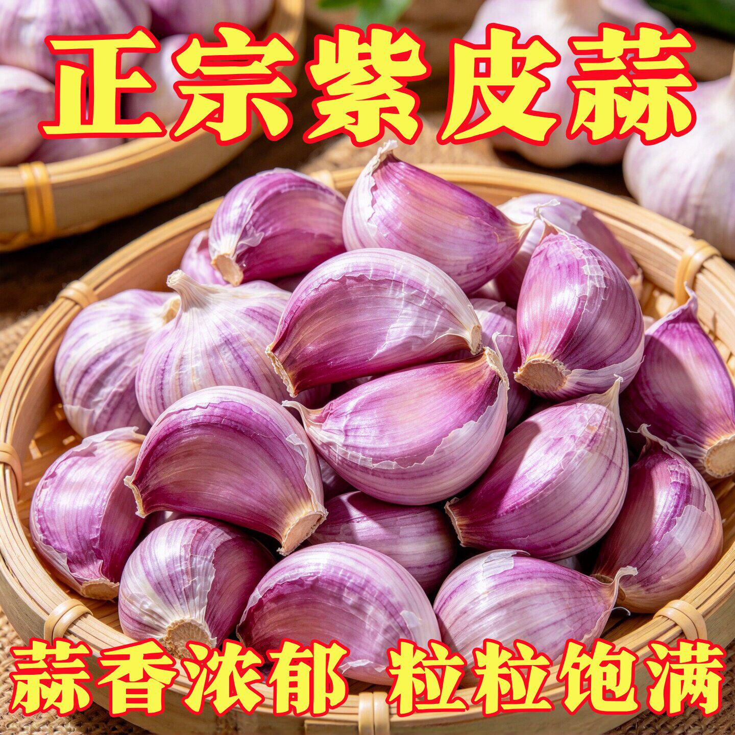 正品大蒜种子高产紫皮蒜种大果2026年农科院培育新种蒜苗蒜薹蒜黄