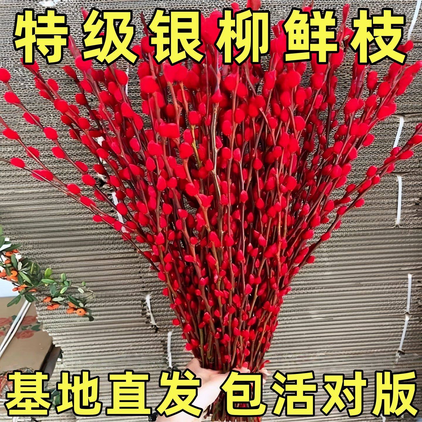 银柳干花鲜枝真花红色花卉喜庆福桶花束装饰客厅摆设风干天然摆件,鲜花速递/花卉仿真/绿植园艺,红掌/凤梨/温室花卉,淘宝优惠券,粉丝福利购,淘宝优惠卷
