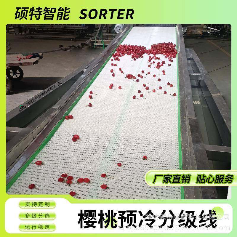 滚杠式选果机 牛油果滚杠分级机 冬枣大小分选设备 柠檬筛果机,清洗/食品/商业设备,肉制品加工设备,淘宝优惠券,粉丝福利购,淘宝优惠卷