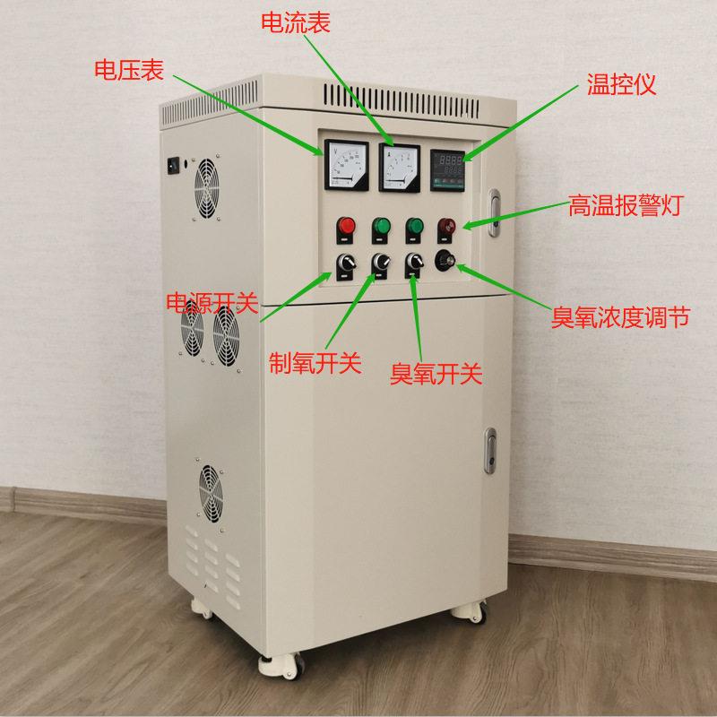 20克风冷制氧臭氧一体式水处理臭氧发生器水产养殖臭氧机消毒设备