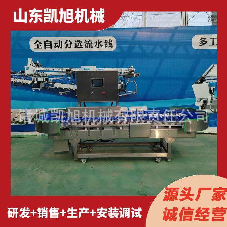 白条大鹅称重分拣机 鸭脖重量分级机 鸡副产品自动分拣加工设备,五金/工具,其他包装设备,淘宝优惠券,粉丝福利购,淘宝优惠卷