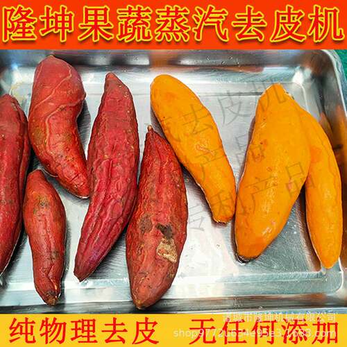 全自动红薯削皮机 多功能土豆西红柿脱皮机 不锈钢果蔬加工去皮机