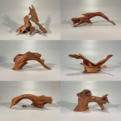 拍一发二树根摆件 枯木◆鱼缸造景紫柚木小号沉木水族装饰树桩