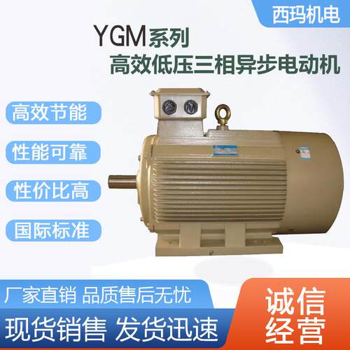 西安电机YGM-12M-2极4KWB5低压交流三相异步电动机厂家现货