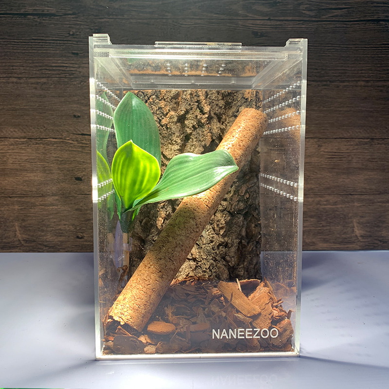 一体亚克力饲养盒高盒树蛙睫角R属守宫树栖爬宠昆虫饲养盒高透