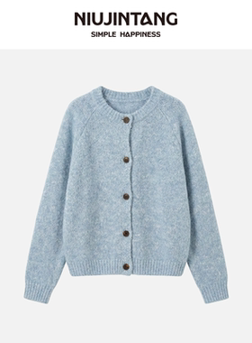 【NJT】2025年秋冬季时尚休闲幻彩纱韩系圆领长袖毛针织衫HSD2519