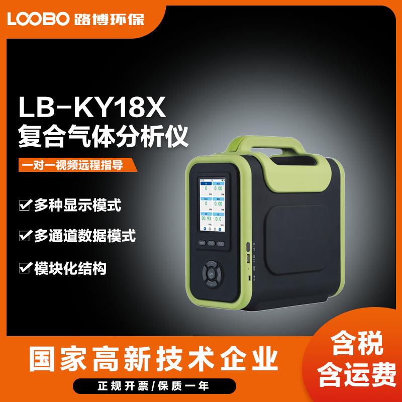 手提式复合气体探测器高精度毒气分析仪有毒有害气体浓度探测仪